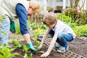 Progetto Orto | Scuola Infanzia Angelo Pedretti | Presezzo | Bergamo