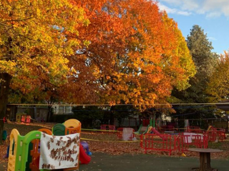 Giardino scuola in autunno